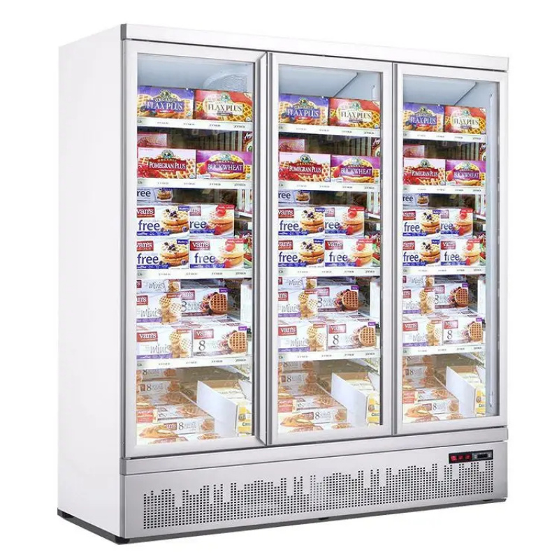 custom.Hot Sale Double-Door  F - Commercial Chest Freezer recension och pris